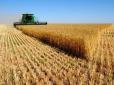 Україна увійшла до числа найбільших постачальників сільгосппродукції в ЄС