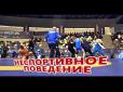 Борці України і Грузії влаштували масову бійку прямо під час турніру (відео)