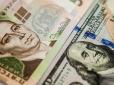 Долар йде у відрив: Курс валют в Україні 20 січня