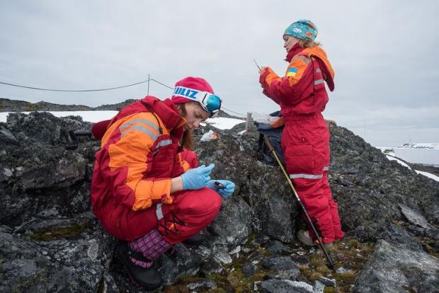 Біологині Євгенія Прекрасна (ліворуч) та Марія Павловська під час сезонної експедиції до Антарктиди, січень 2019 року. Фото: надане hromadske Євгенією Прекрасною