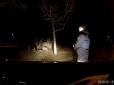 Поліції довелося застрелити: В Одесі собака покусав хазяйку до напівсмерті (відео)