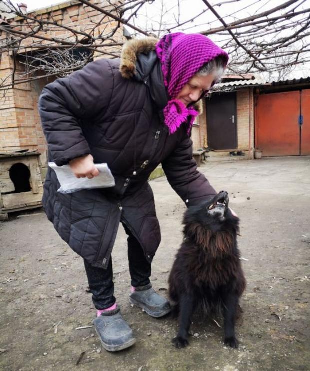 Небайдужі українці вирішили допомогти бабусі та її Шаріку. Фото: соцмережі.