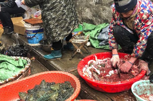 Ринок в Ухані терміново продезінфікували, а тварин знищили. Фото: Рейтерс.