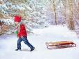 Відсутність снігу - не перешкода: У Запоріжжі показали, як діти катаються на санках (відео)