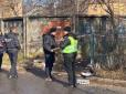 Полетіли перші голови: У Мукачевому після гучної перестрілки змінили керівництво поліції (відео)