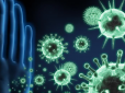 Лайфхак: ТОП-5 ефективних способів підвищити і зміцнити імунітет