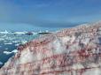 Моторошне видовище: Українську станцію в Антарктиді оточив 