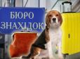 Собака і банка супу: Найнесподіваніші знахідки в столичному транспорті