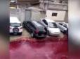 Нестерпний сморід: В Аргентині тонни крові затопили вулицю (відео)