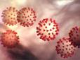 Не зупиняється: В Україні ще два нових випадки коронавірусу, названо область