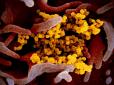 Чому коронавірус з Китаю дуже заразний: Вчені знайшли відповідь