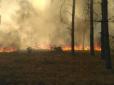 У Чорнобильській зоні палають ліси