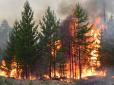 На Київщині, рятуючи курей, пенсіонерка спричинила лісову пожежу (відео)