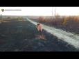 Пожежа в Чорнобилі: Тварини тікають від вогню по випаленій траві (відео)