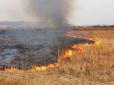 Природа покарала за спалювання трави: На Київщині у селі загорілися десятки будинків