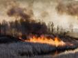 Місто почне задихатись: Дим від пожеж у Чорнобилі скоро накриє Київ (карта)