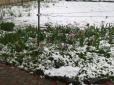 У Києві посред квітня раптово випав сніг: З'явилися чарівні фото та відео