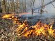 На Київщині спалахнула ще одна лісова пожежа (фото)