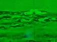З архіву ПУ. Під час маневрів НАТО у Польщі птах перехопив протитанкову ракету, котра прямувала до російського танку (відео 12+)