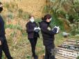 Резонанс тижня. Страшна трагедія на Одещині: Зниклу 14-річну дівчину знайшли мертвою на березі лиману (фото)