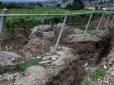 Справжній скарб: В Італії під шаром землі знайшли давньоримську віллу (фото)