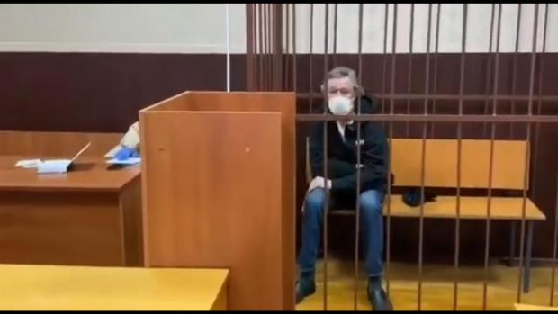 Михайло Єфремов в клітці. Фото: скріншот з відео.