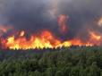 Потужна лісова пожежа почалася на Афоні