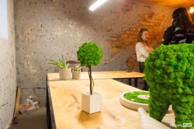 Бізнес у стилі «лофт»: майстриня з Луцька вирощує рослини в бетоні. ФОТО