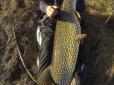 З архіву ПУ. На Черкащині чоловік зловив рибу розміром з людину (фотофакт)