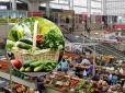 Ціни на овочі на Троєщинському ринку столиці порівняли з 2018 роком (фотофакт)