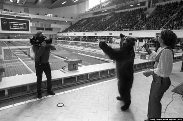 Ведмідь аплодує відкриттю олімпійського басейну в Москві