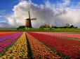 Нідерланди - країна контрастів: На що схоже  реальне життя в Країні тюльпанів
