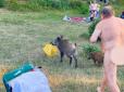 У Берліні дика свиня обікрала нерозважливого нудиста: Під регіт оточуючих нещасний ганявся за злодійкою (фото 12+)