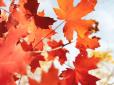 Коли почнеться осінь: Синоптики дали прогноз погоди на вересень