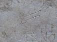 Археологи виявили графіті із зображенням фантастичної істоти, якому 800 років (фото)
