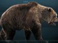 Жив 40 тисяч років тому: У Росії знайшли мумію ведмедя (фото)