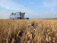 Прогнози ООН вкрай невтішні, можна чекати здорожчання: В Україні рекордно впаде урожай пшениці через безводне літо