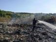 Вогонь міг поширитися на ліс: У Житомирській області горить сміттєзвалище