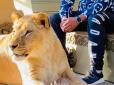 У багатих свої примхи: Харків'янин тримає вдома лева (відео)