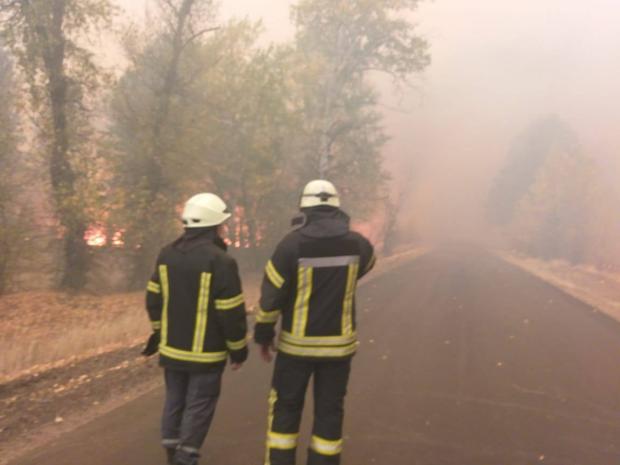 До боротьби з вогнем залучено фахівців ДСНС, особовий склад лісової охорони, поліцейські.