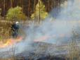 Вогонь продовжує поширюватися: На Луганщині спалахнули масштабні лісові пожежі (фото, відео)
