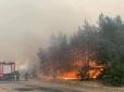 Гроші не пахнуть: Як заробляють на смертельних лісових пожежах у Луганській області (фото)
