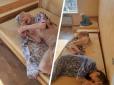 Спали голі на незастеленних ліжках: Пансіонат на Росії запідозрили в жорстокому поводженні з підопічними (фото, відео)