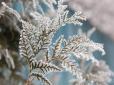 Синоптики спрогнозували перші заморозки в Україні