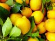 Лимони можуть бути шкідливими для здоров'я: Лікар розвінчав популярний міф