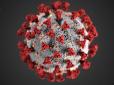 В Україні знову понад 7 тисяч нових випадків коронавірусу: Статистика МОЗ на 24 жовтня