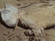 Все не так, як думали: У Єгипті виявили загадкову мумію, яка змінює уявлення про цивілізацію (фото)