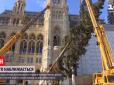 Новий 2021-й: У центрі австрійської столиці встановили найвищу за всю історію міста новорічну ялинку (відео)
