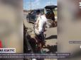 Не смертельно, але боляче: В Аргентині велосипедист впав на величезний кактус і потрапив до лікарні (відео)