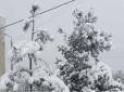 Справжня зима: Західну Україну засипало снігом (фото)